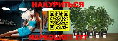 трава Новокубанск