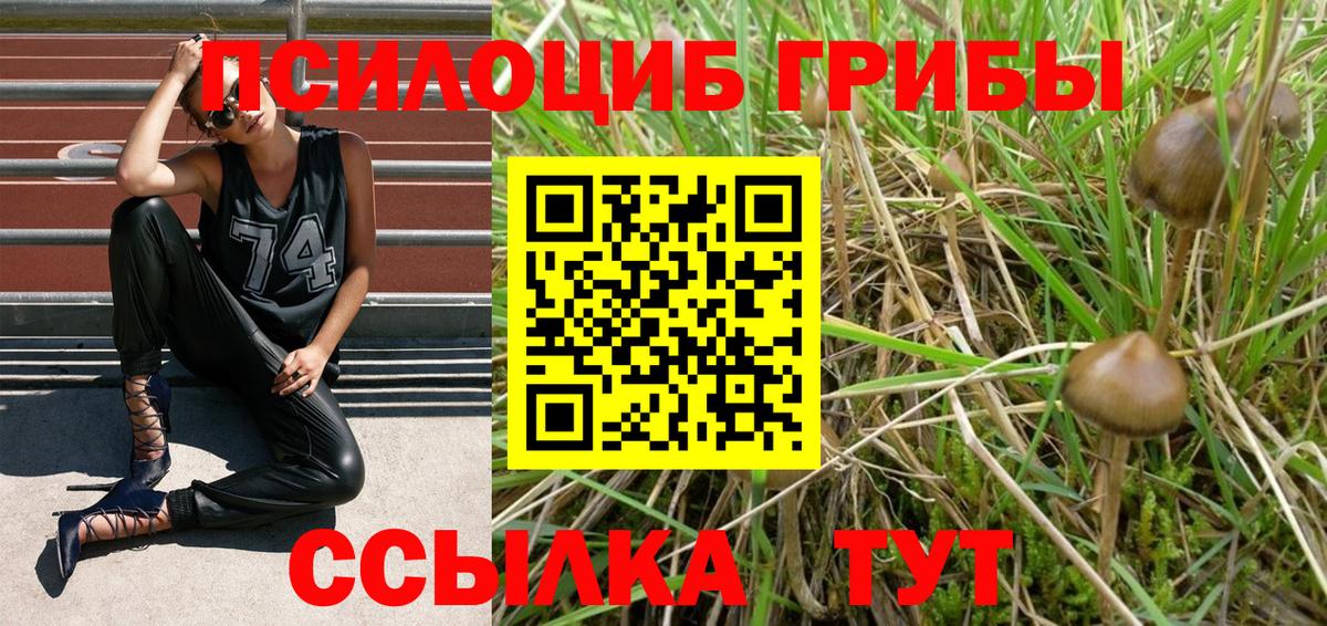 Рузаевка  Галлюциногенные грибы GOLDEN TEACHER  Вход с VPN 